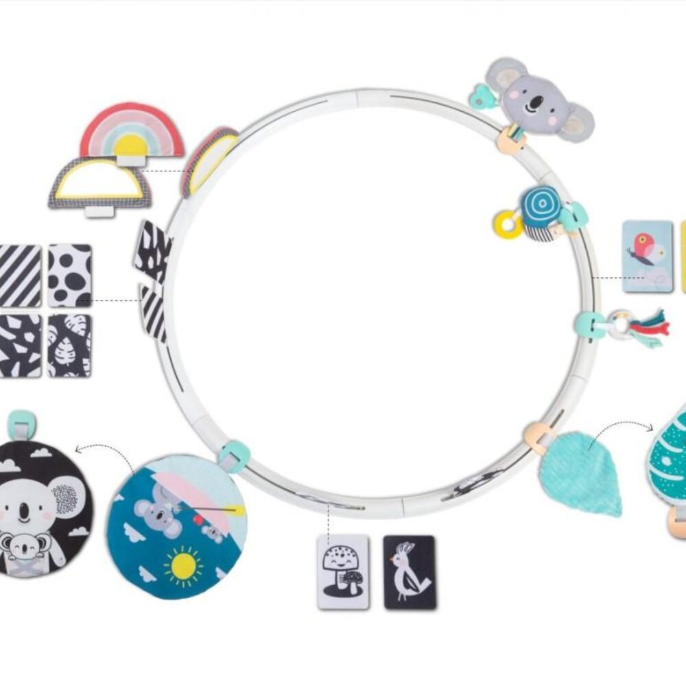 All around me activity hoop