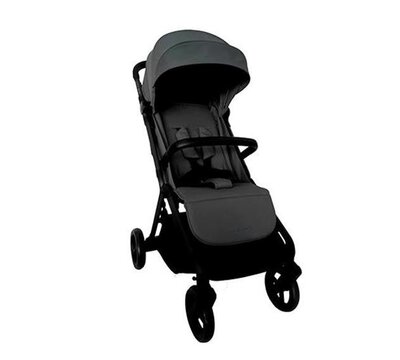 Comfort buggy Grey