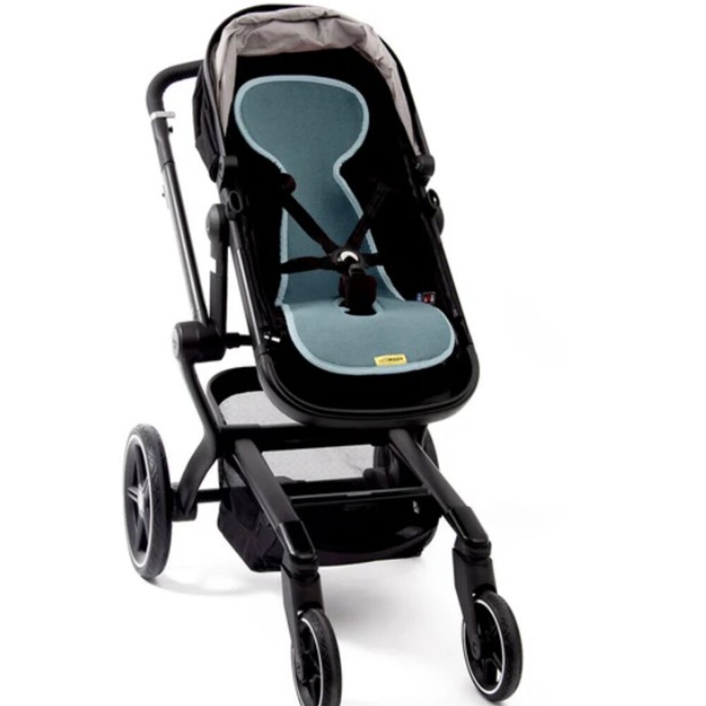 Air layer buggy Mint