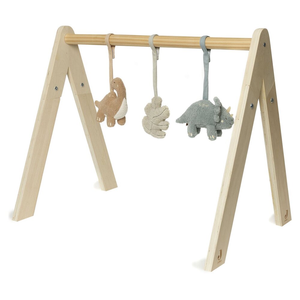 Babygym Speeltjes Roarsome