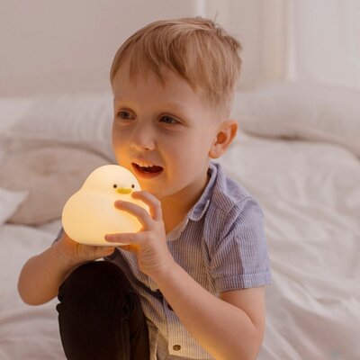 Led lamp Duck -