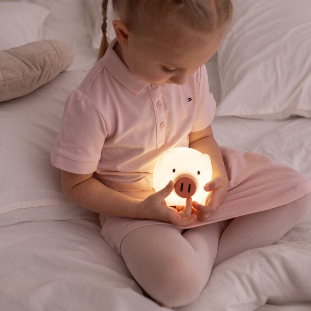 Led lamp Pig -