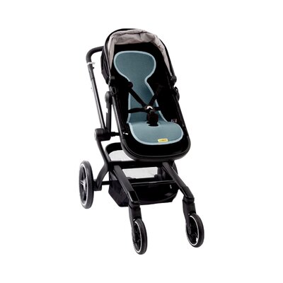 Air layer buggy Mint