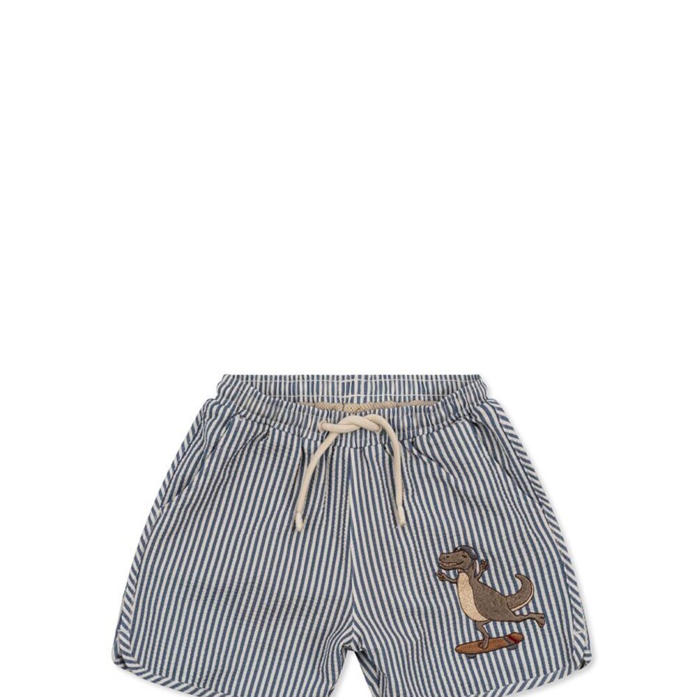 Seer asnou swimshorts flint stone