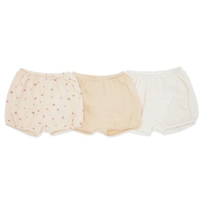 Cue 3-pack bloomers gots Etoile colore